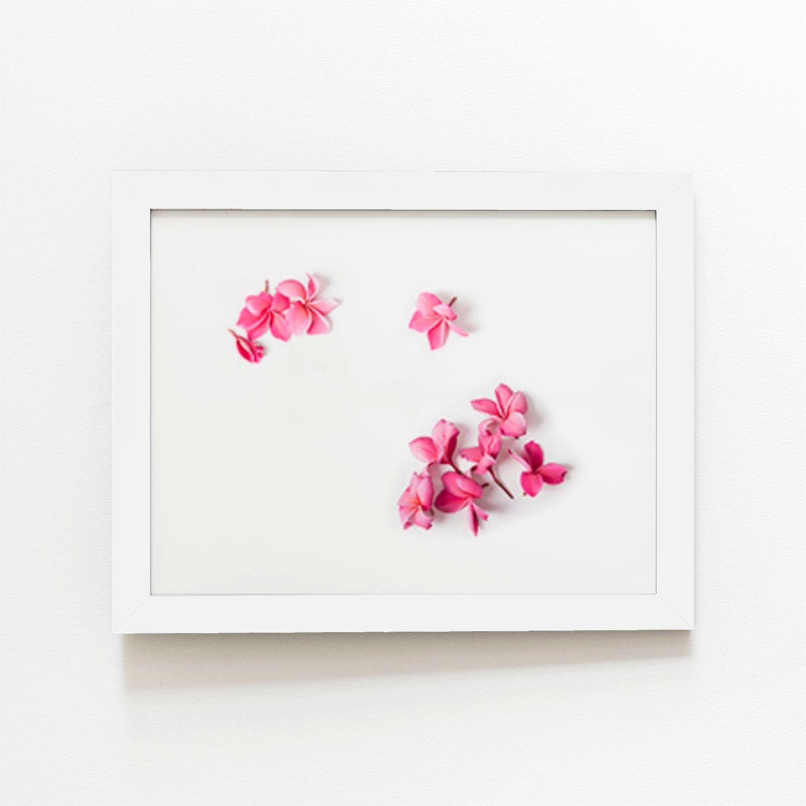 Pink Frangipani Flowers Framed Art Print