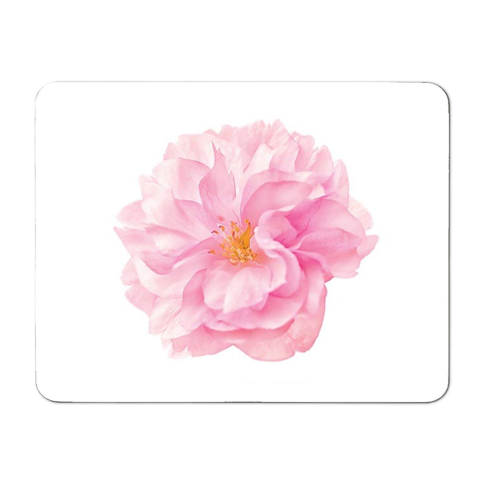 Single Cherry Blossom Placemats