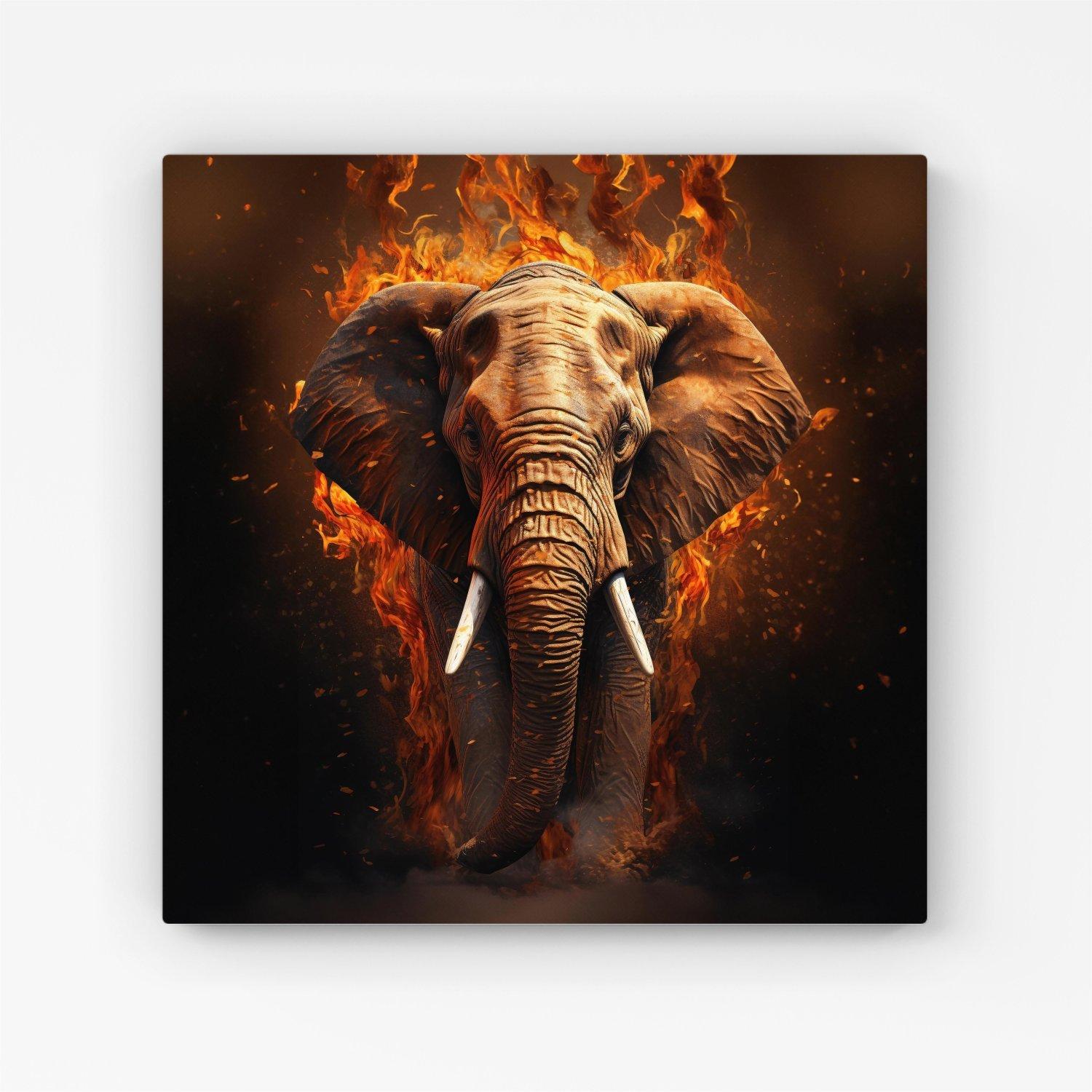 Splashart Elephant and fire Canvas