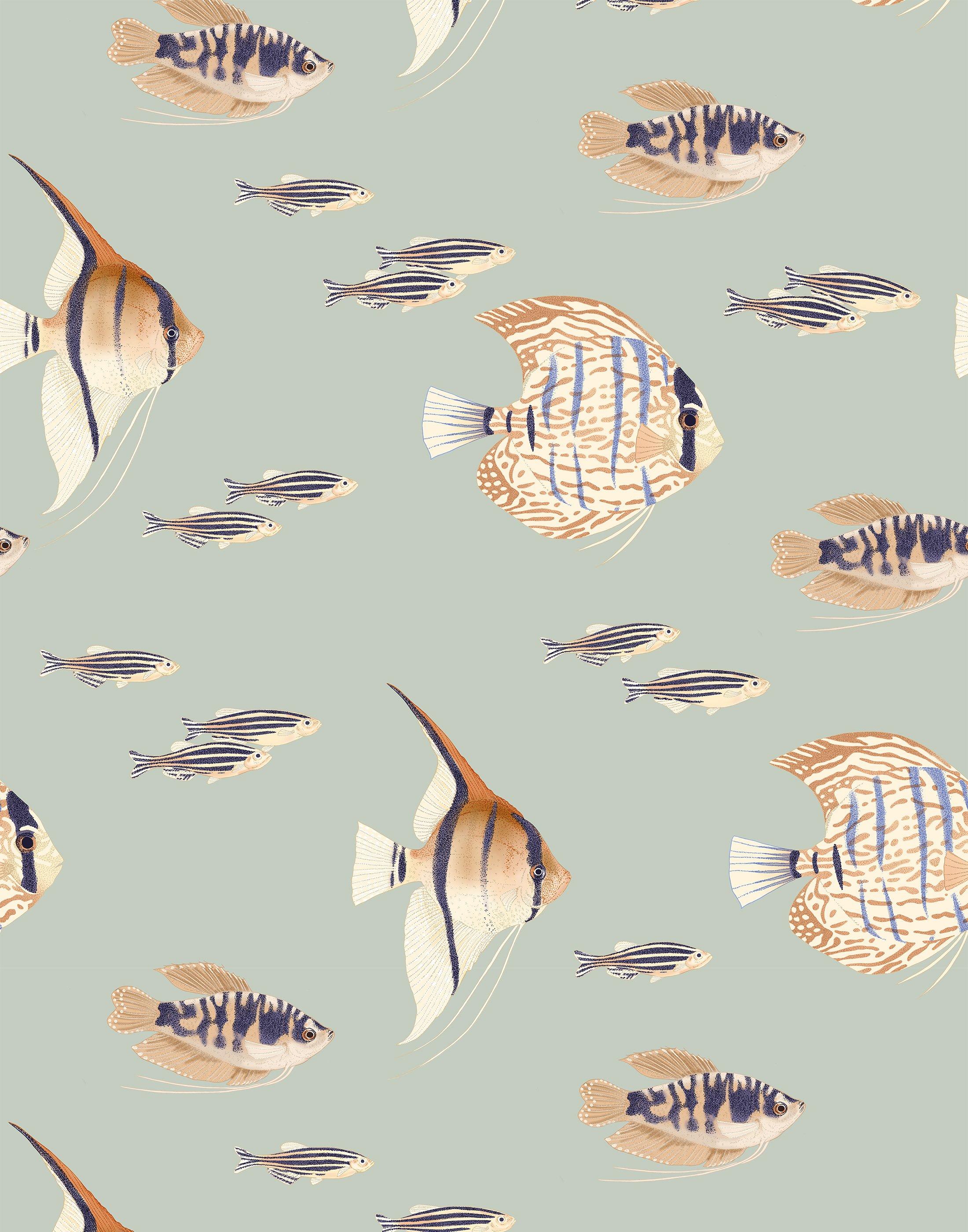 Eco-Friendly Tropical Fish Wallpaper