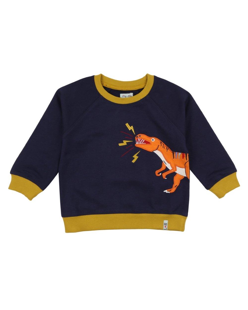 Dino Applique Sweatshirt