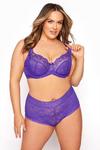 Yours Stretch Lace Non-Padded Underwired Bra thumbnail 4