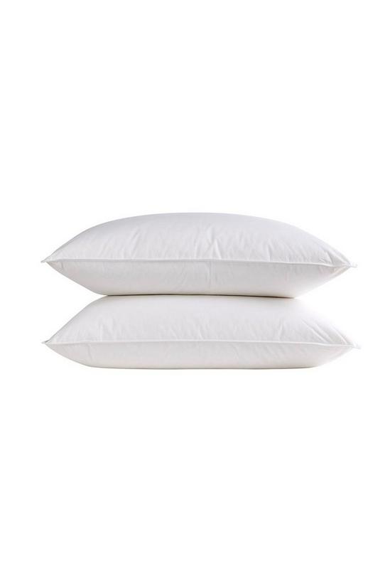 CHRISTY Feather and Down Anti-Dustmite Super Soft Pillows 1