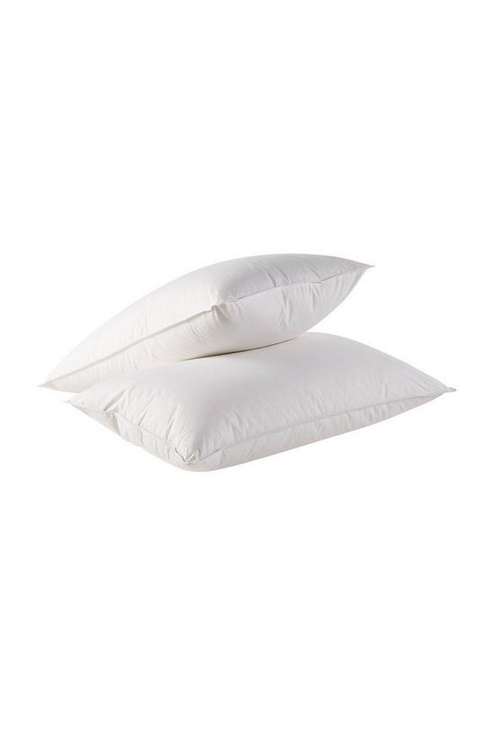 CHRISTY Feather and Down Anti-Dustmite Super Soft Pillows 2