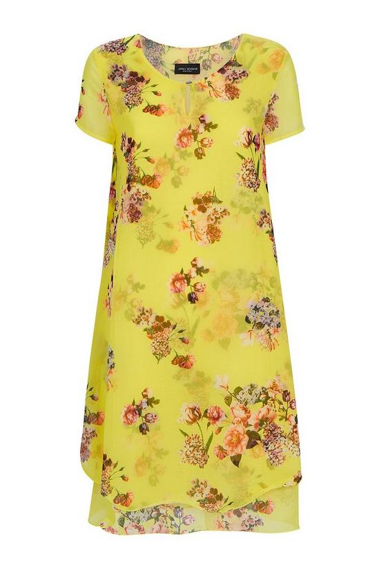 James Lakeland Cap sleeve Floral Wave Dress 4