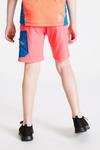 Dare 2b 'Reprise' Lightweight Water Resistant Shorts thumbnail 2