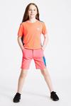 Dare 2b 'Reprise' Lightweight Water Resistant Shorts thumbnail 3