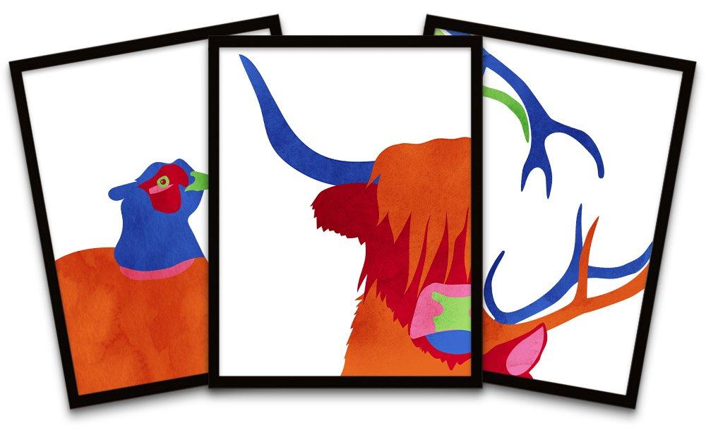 Bright Colourful Scottish Highland Wildlife Framed Wall Art Print Poster Home Decor Premium Pack of 