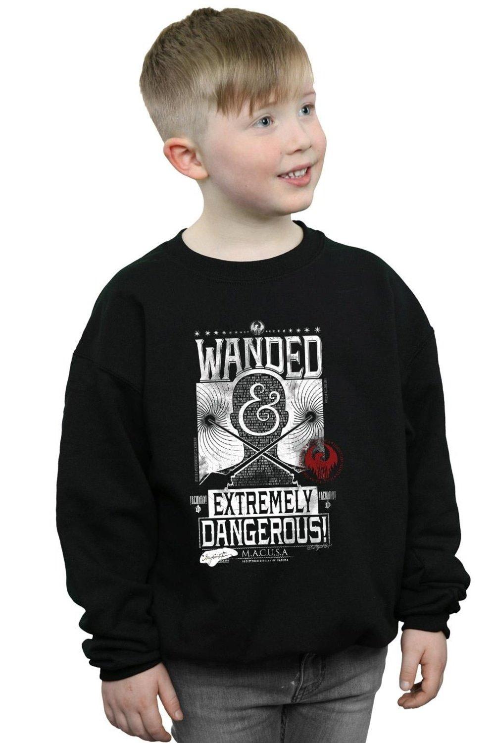 Wanded And Extremely Dangerous Sweatshirt