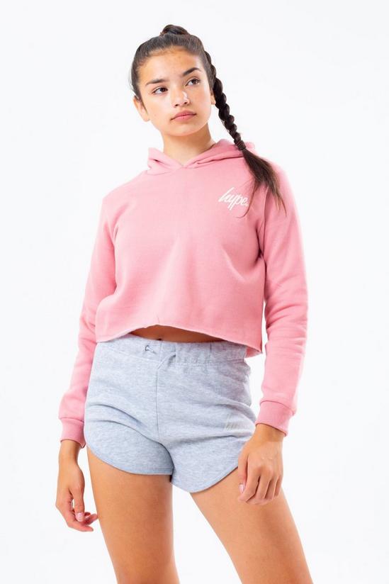 Hype 2 Pack Pink & Grey Crop Pullover Hoodies 2