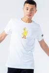 Hype X Sesame Street Big Bird White Logo T-Shirt thumbnail 1