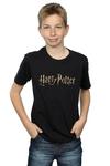 Harry Potter Full Colour Logo T-Shirt thumbnail 1