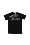 Harry Potter Full Colour Logo T-Shirt thumbnail 2