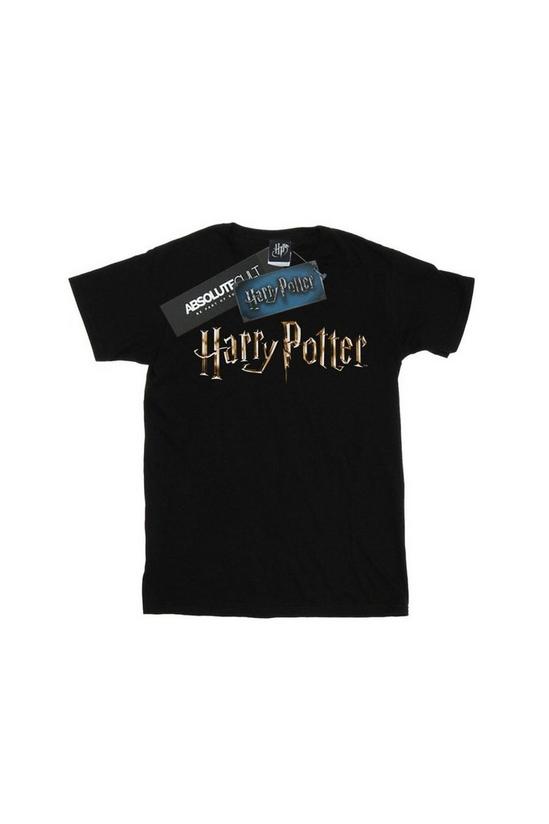 Harry Potter Full Colour Logo T-Shirt 2