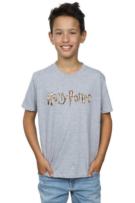 Harry Potter Full Colour Logo T-Shirt 1
