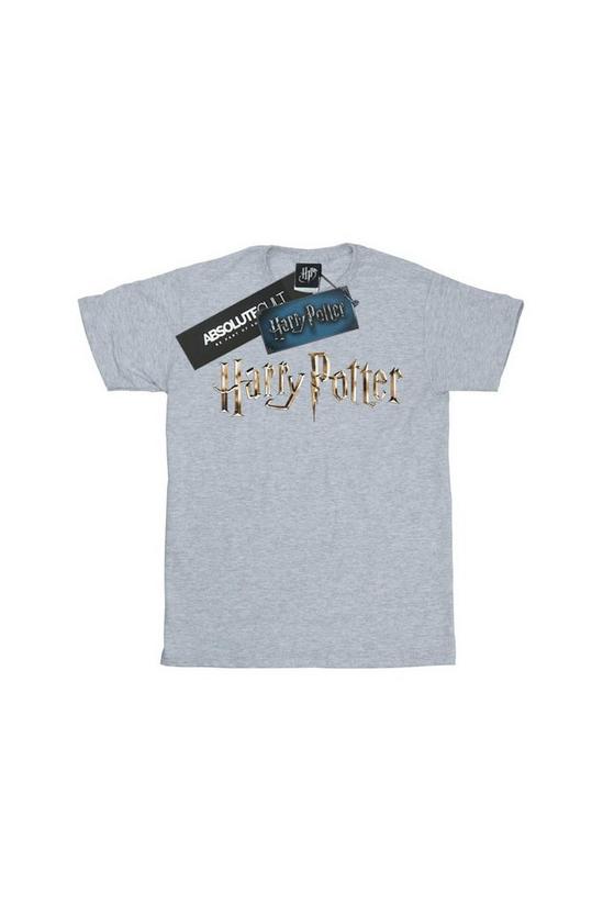 Harry Potter Full Colour Logo T-Shirt 2