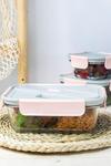 BUILT New York Mindful Glass 900ml Lunch Box with Cutlery thumbnail 2