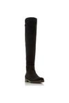 Dune London 'Tropic' Suede Over The Knee Boots thumbnail 2