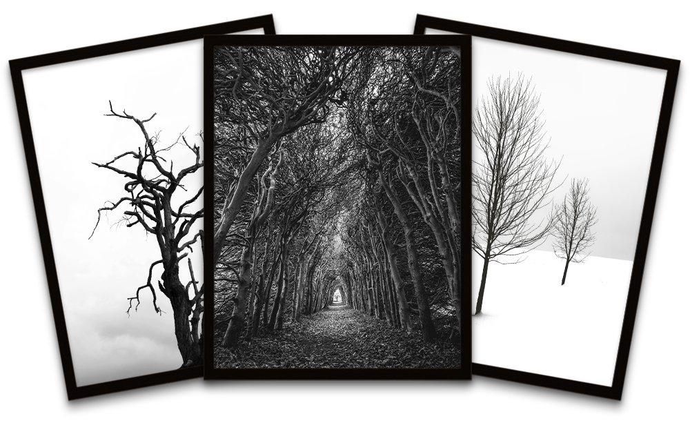 Solitude Lonely Tunnel Forest Trees Nature Black White Photos Black Framed Wall Art Print Poster Hom