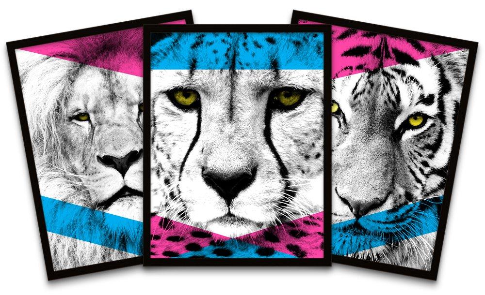 Contemporary Bold Fierce Cats Lion Cheetah Tiger Black Framed Wall Art Print Poster Home Decor Premi