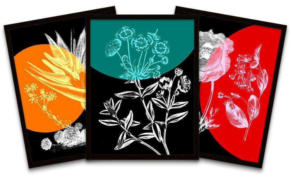Colourful Pop Circle Plants Flowers Nature Black Framed Wall Art Print Poster Home Decor Premium Pac