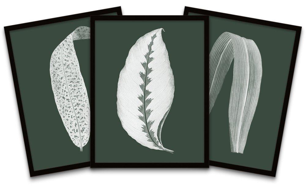 Botanics Hunter Green White Leaves Ferns Nature Black Framed Wall Art Print Poster Home Decor Premiu