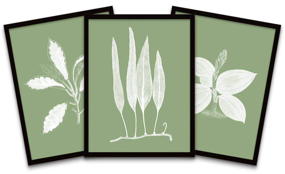 Botanics White Green Leaves Ferns Nature Black Framed Wall Art Print Poster Home Decor Premium Pack 