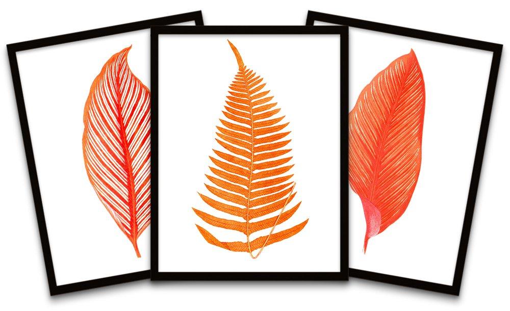 Botanics Red Orange White Leaves Ferns Nature Black Framed Wall Art Print Poster Home Decor Premium 
