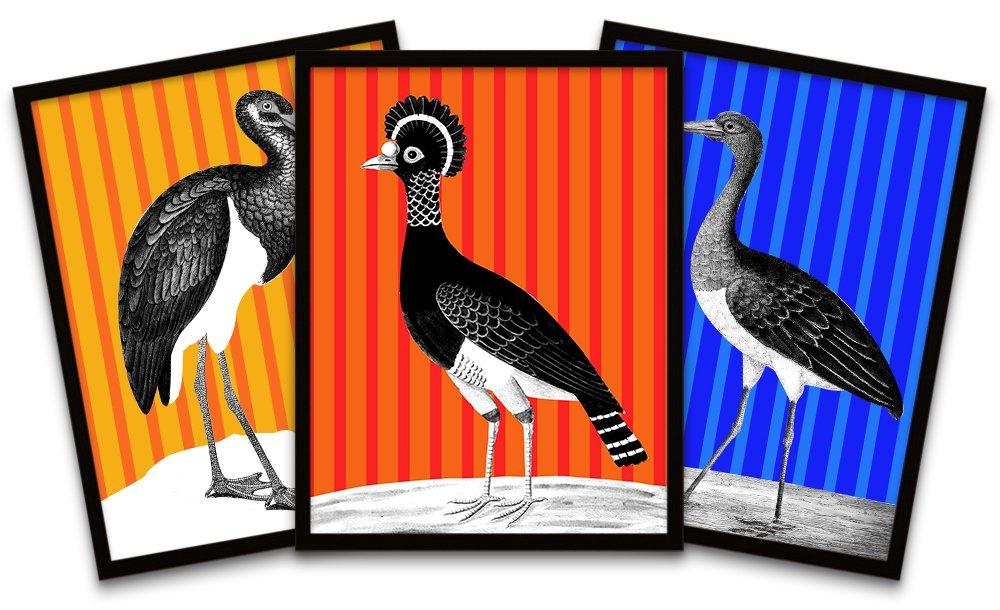 Tall Birds On Bright Stripes Black Framed Wall Art Print Poster Home Decor Premium Pack of 3