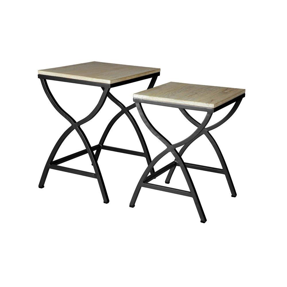 Alesja Set of 2 Metal and Wood Nested Tables
