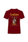 Harry Potter Gryffindor T-Shirt thumbnail 1