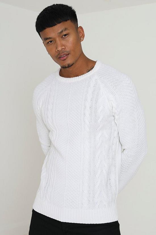 Brave Soul 'Wilson' Crew Neck Cable Knitted Jumper 1