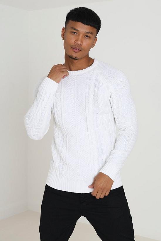 Brave Soul 'Wilson' Crew Neck Cable Knitted Jumper 3