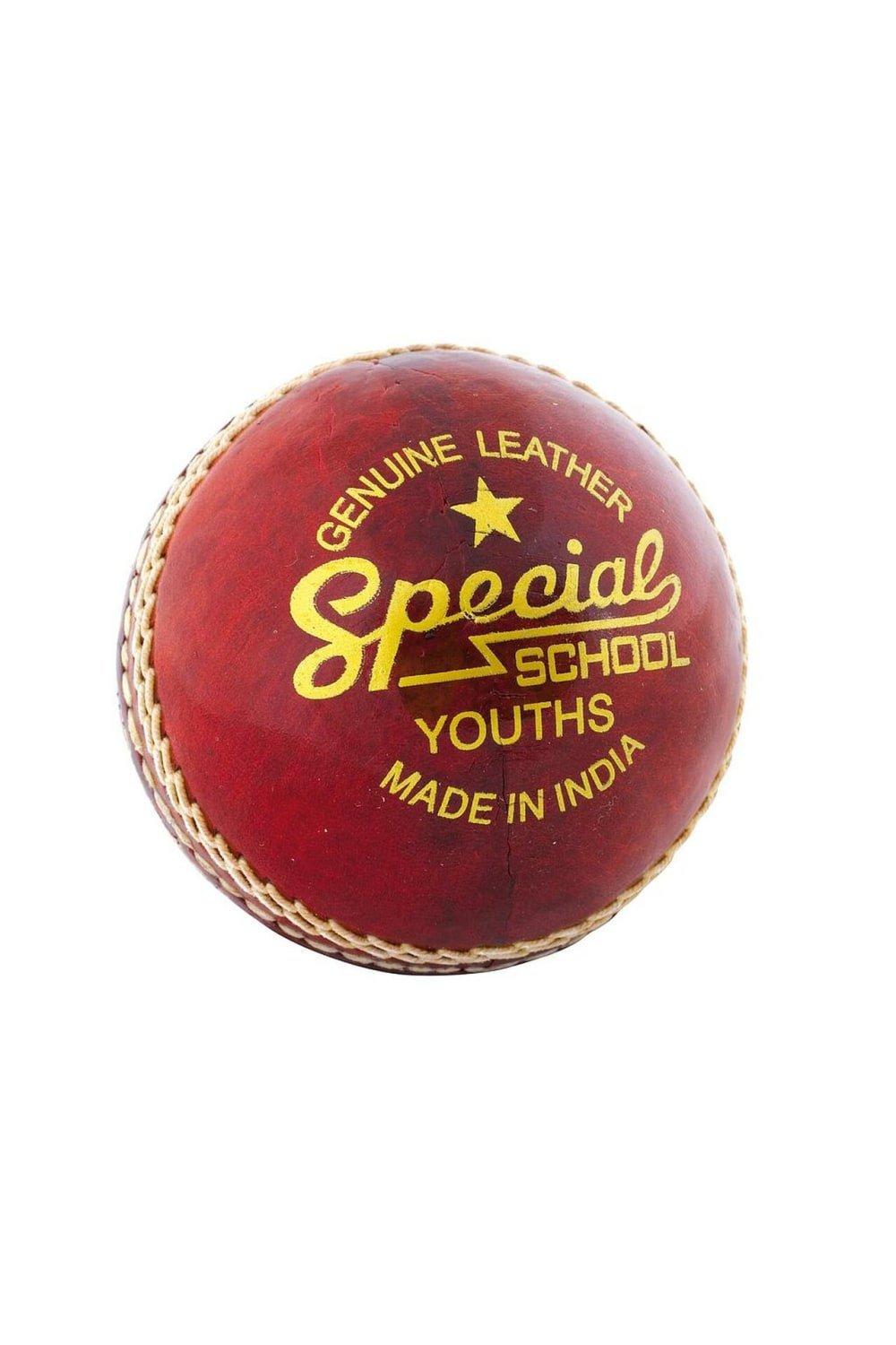 Special School Leather Cricket Ball