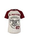 Harry Potter Hogwarts Crest Raglan T-Shirt thumbnail 1