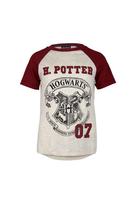 Harry Potter Hogwarts Crest Raglan T-Shirt 1