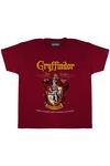 Harry Potter Gryffindor Crest T-Shirt thumbnail 1
