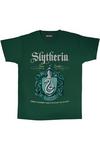 Harry Potter Slytherin Crest Boyfriend T-Shirt thumbnail 1
