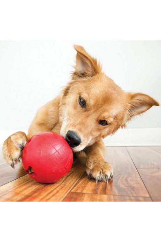 KONG Biscuit Ball Dog Treat Dispenser 2