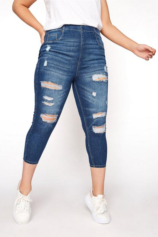 Yours Destroyed Cropped Jeggings 1