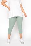 Yours Cotton Cropped Leggings thumbnail 3