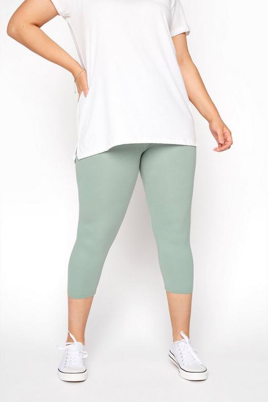 Yours Cotton Cropped Leggings 3