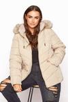 Yours Panelled Puffer Coat thumbnail 1