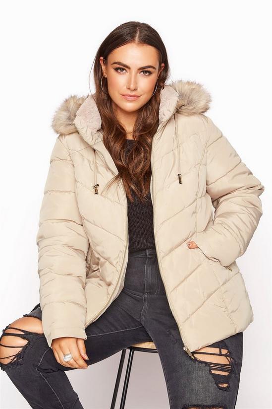 Yours Panelled Puffer Coat 1