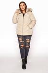 Yours Panelled Puffer Coat thumbnail 5
