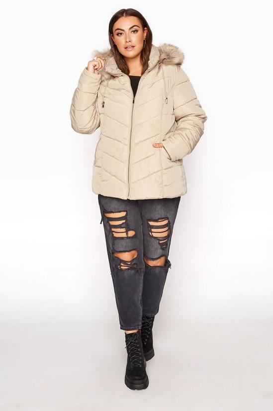 Yours Panelled Puffer Coat 5