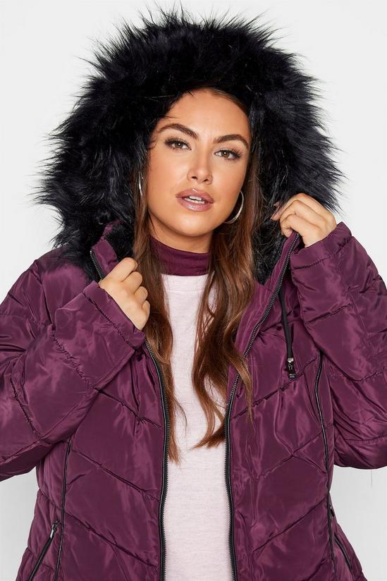 Yours Panelled Puffer Jacket 5