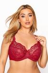 Yours Stretch Lace Non-Padded Underwired Bra thumbnail 1