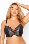 Yours Plunge Padded Bra thumbnail 1