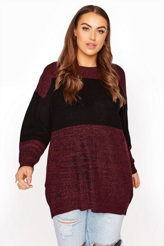 Yours Knitted Jumper 1